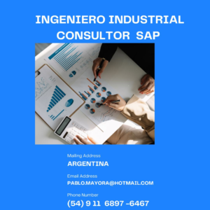 consultor sap en Argentina